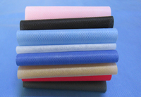 忻府涤纶（PET）无纺布是什么